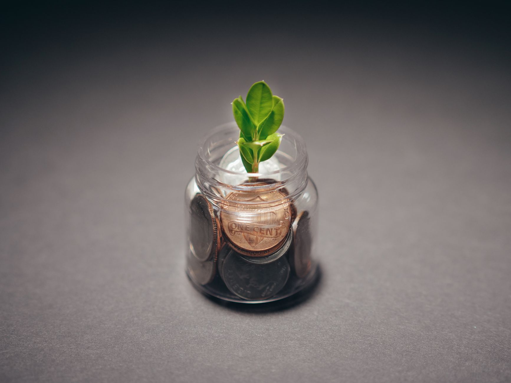 A seedling growing from a jar of coins