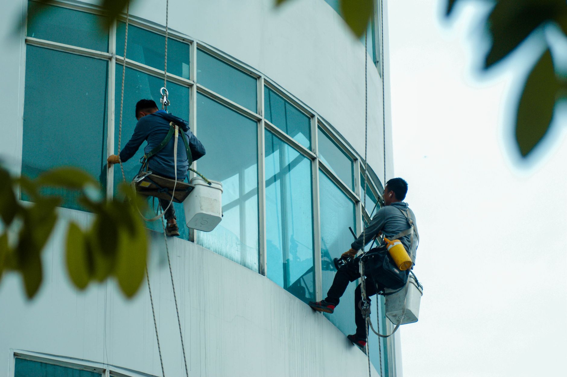 Technicians abseiling down a curved glass facade to clean the windows